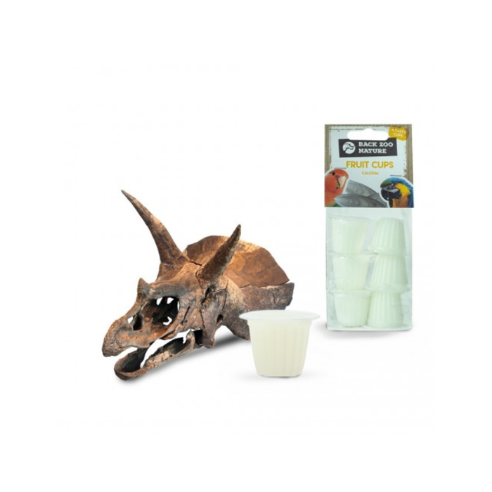 Back Zoo Nature Calcium Cups for Crickets
