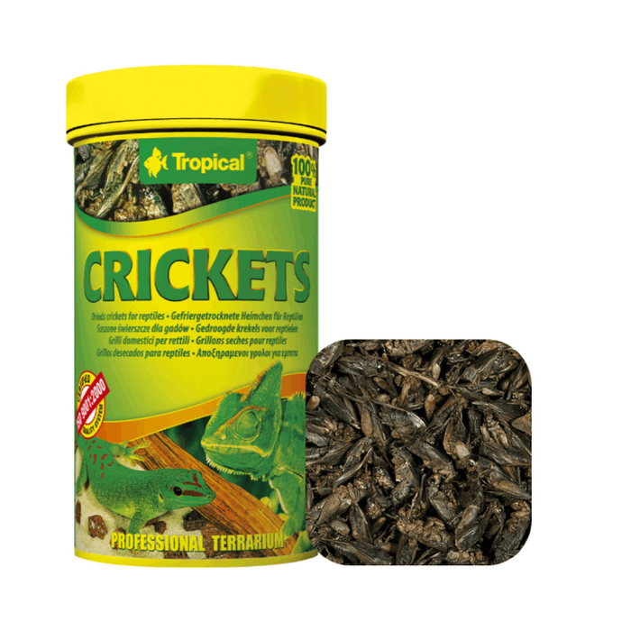 Tropical Dried Crickets 100ml, 250ml, 1000ml