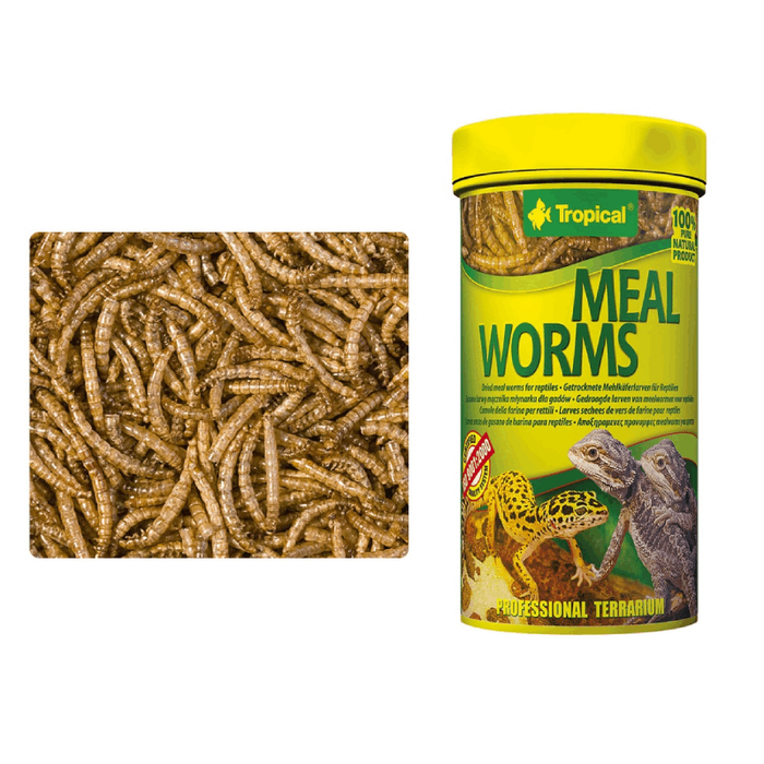 Tropical Dried Meal Worms 100ml, 250ml