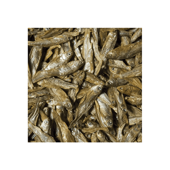 Tropical Dried Fish 100ml, 250ml